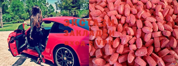 spice Алзамай