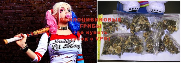 spice Алзамай