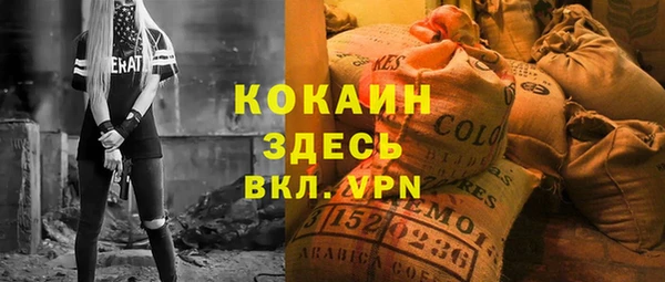 spice Алзамай